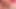 Delicious pink pussy in close-up
