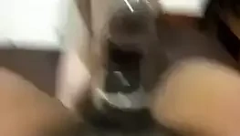 Domuz eş seviyor için oturmak üzerinde bir siyah horoz