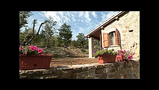 Love & psyche vol.2 - (tam orijinal film hd)