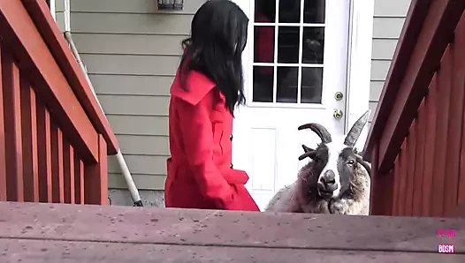 İri göğüslü esmer bir kız lezbiyen arkadaşını sikiyor