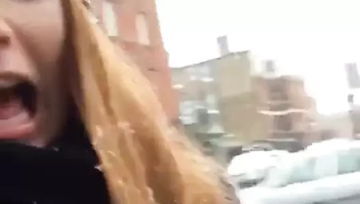 güzel kırmızı fransız çiçeği