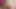 Gırtlağına kadar dildo İlk kör randevumda nasıl yarak emeceğim provası yapıyorum