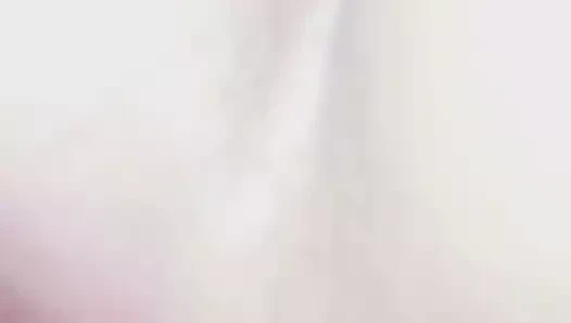 Leicester hile eş alır siyah horoz