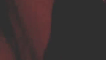 Lisa ve serçe kahrolası köpek stili