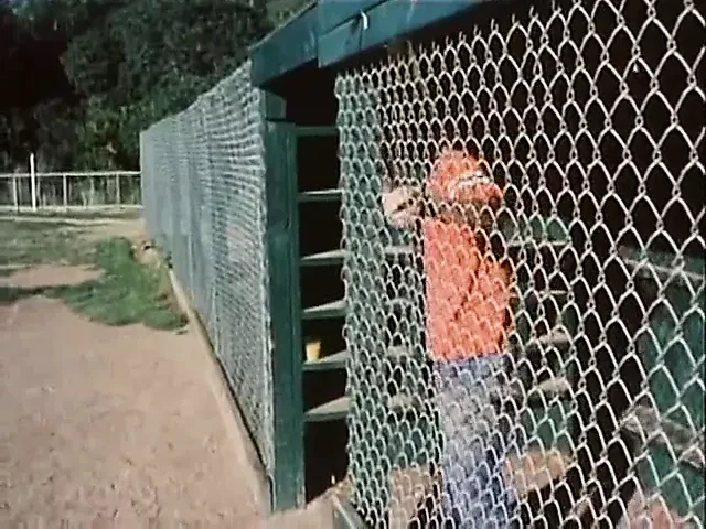 Saklanacak bir şey yok (1981)