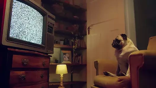 Ağızda sperm - valentina lapiedra bana hayatımın en iyi saksounu çekiyor - benefit monkey