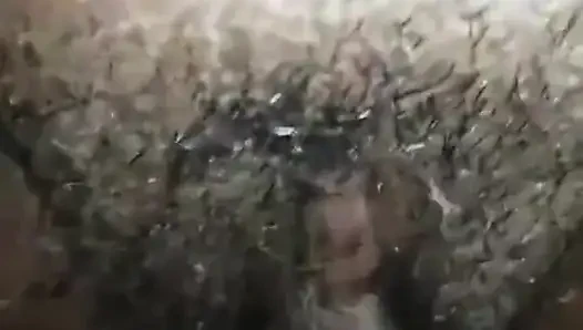 Büyük zenci yarağı ıslak şişman amcığımı sikiyor yüksek sesle inliyor çığlık çığlığa orgazm