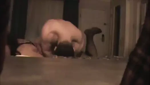 Deniz ırkları inleyen kaltak