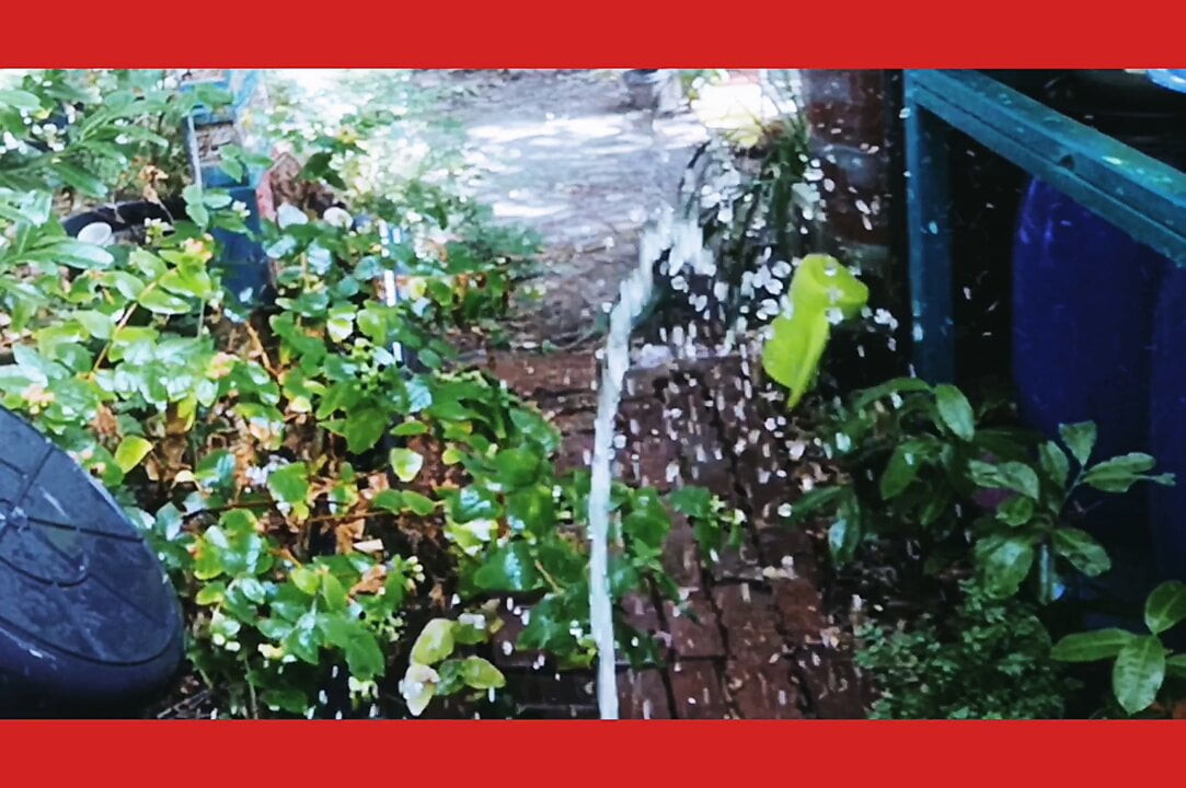 faphouse stüdyolarında Sarah fonteyna waterig