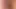 sop 016