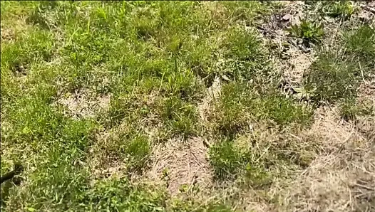 Bölüm 46: bahçesinde sürpriz