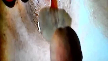 Meine boşalmak haraç koleksiyon v01