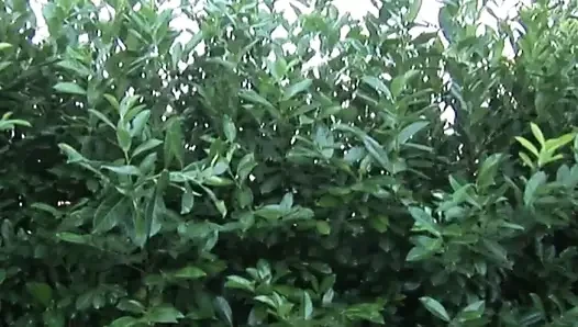 Edepsiz bir sarışın için büyük yarak