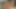 Sevgili için hızlı handjob ve özensiz oral seks. sıcak, sıkı ve azgın esmer milf yutmak için ağzına boşalmak için kocasını aldatıyor