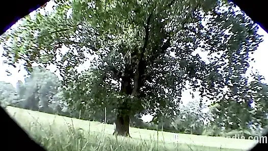 Bana Kıllı Vajini Göster