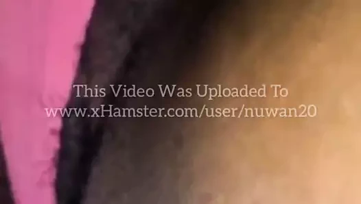 Arkadaşlar için selfie kedi flaş çekim - sri lankalı