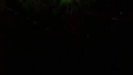 açık çanta çiş 1