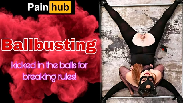 Kölemin taşaklarını eziyorum! Taşak damgalama taşak tekmeleyen cbt bondaj bdsm kadın egemenliği gerçek ev yapımı amatör orta yaşlı seksi üvey anne