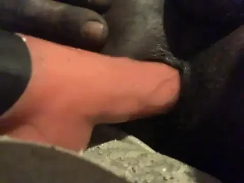 Götümde şimdiye kadarki en iyi makine