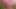 Assfucked ve creampied - açık pov seks - realsweetbunny