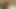 Cazip esmer seksi lapdance yapıyor