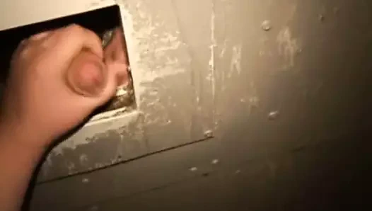 anal at zafer deliği