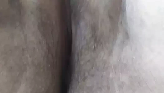 KEDİ oyun