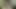 Adorables 69