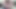 Üç kız bir koç teaser