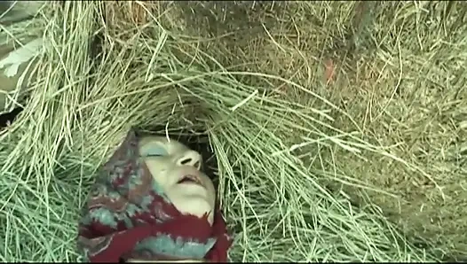 Fahişe Domuz Orhidea (film)