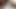 Seksi Nautica Evans zenci arkadaşıyla ırklararası seks yapmayı kabul ediyor