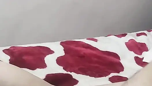 Arab Porn Faslı