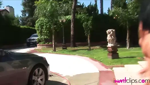 Seksi lezbiyen partisi