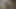 Şehvetli zenci yarağı gırtlağına kadar almayı öğreniyor, sonra sikişiyor