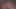 Sextermedia Casting'de konuk olarak porno yıldızı Jolee Love