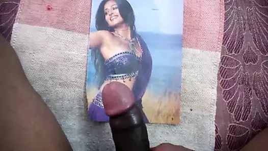 anushka'ya bir başka haraç - arap