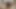 Üvey anne sana büyük kız yarağını gösteriyor ve her yerine boşalıyor tam video