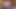Amatör genç facesitting orgazm var - ağzına boşalana kadar her zaman yüzünü sürmeye devam ediyorum