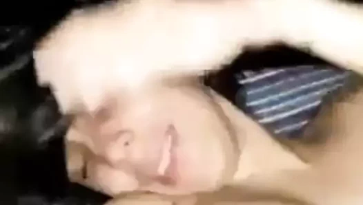 Büyük memeli amatör