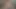 2319.
