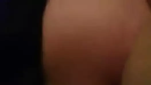 Trans Dijana
