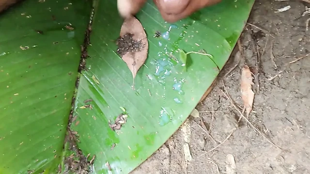 orijinal video