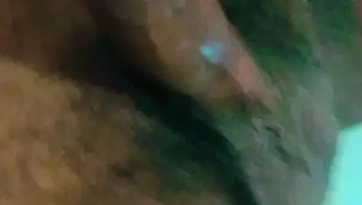 Sri Lankalı ev kadını shetyyy'nin siyah tombul kedi