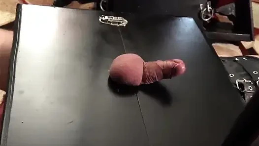 Erkek köle sahibesinin ayakkabılarının altında yarak tacizi için çiğneme masasının cbt tahtasının altında mahsur kaldı