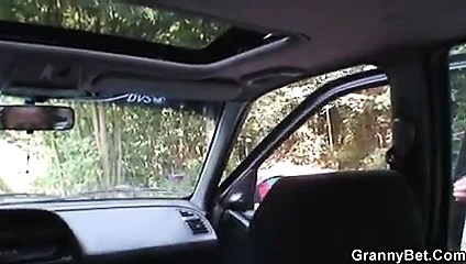 Yaşlıyı yoldan alır