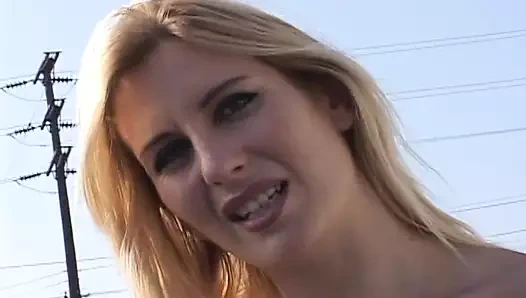 Çeşitli sanatçılar - miltf 14