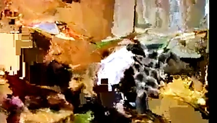 lysa thatcher ile şeftali tüyü (1981)