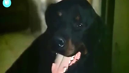 Gloria Guida en L'affitacame