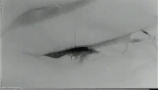 Reel Old Timers 09 4