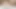 Kocanın aşağılanması - evli kadın sevgilisiyle aldatıyor ve kocasına kahveye sperm tükürüyor